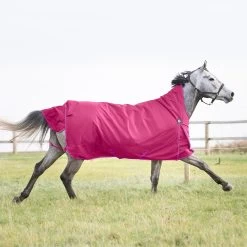 Horze Avalanche 1200D Lite Medium Turnout With Fleece 41 Horze Avalanche 1200D Lite Medium Turnout With Fleece -Sports - Horse Equipment Shop 24017 BDPU 4