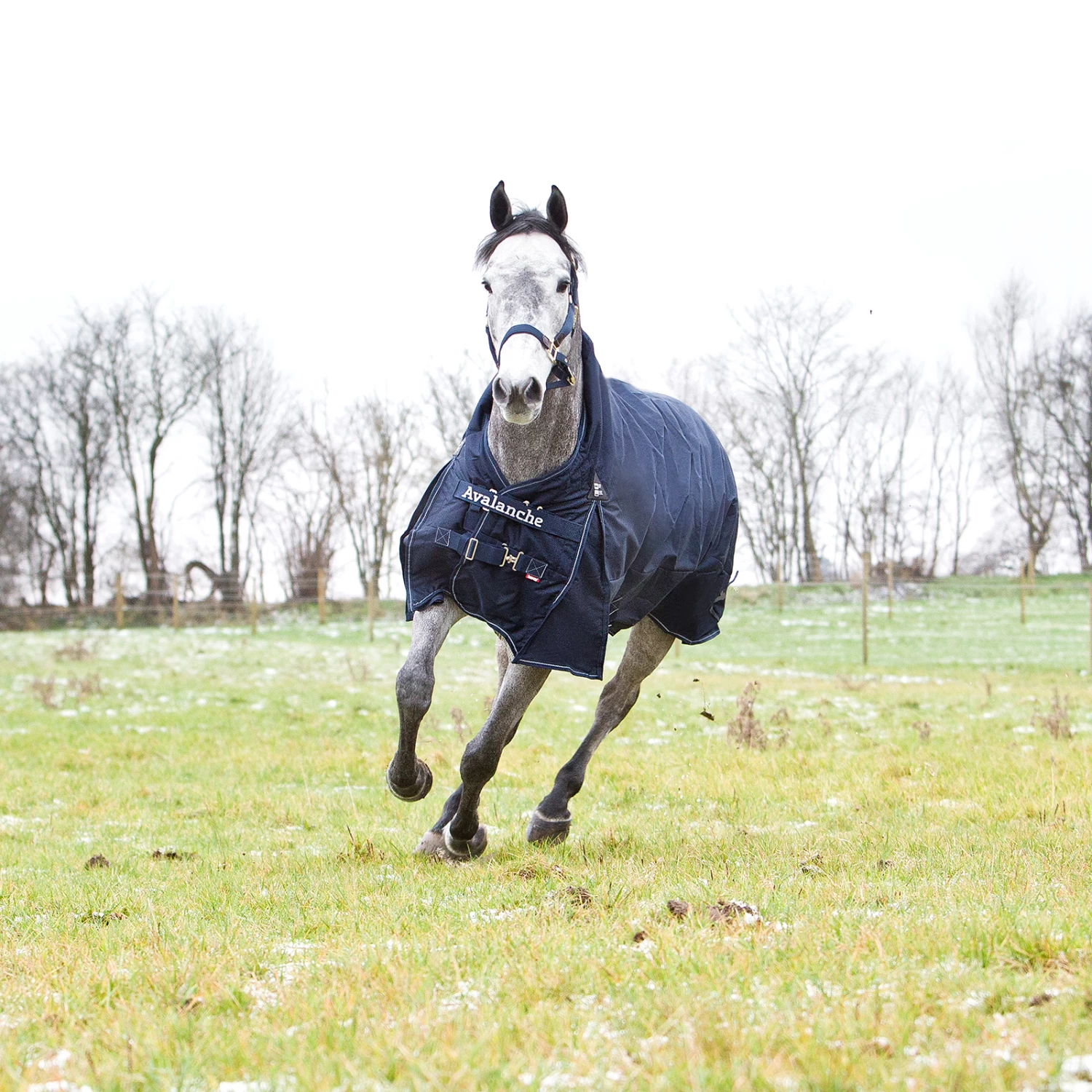 Horze Avalanche 1200D Lite Medium Turnout With Fleece 14 Horze Avalanche 1200D Lite Medium Turnout With Fleece - Image 12