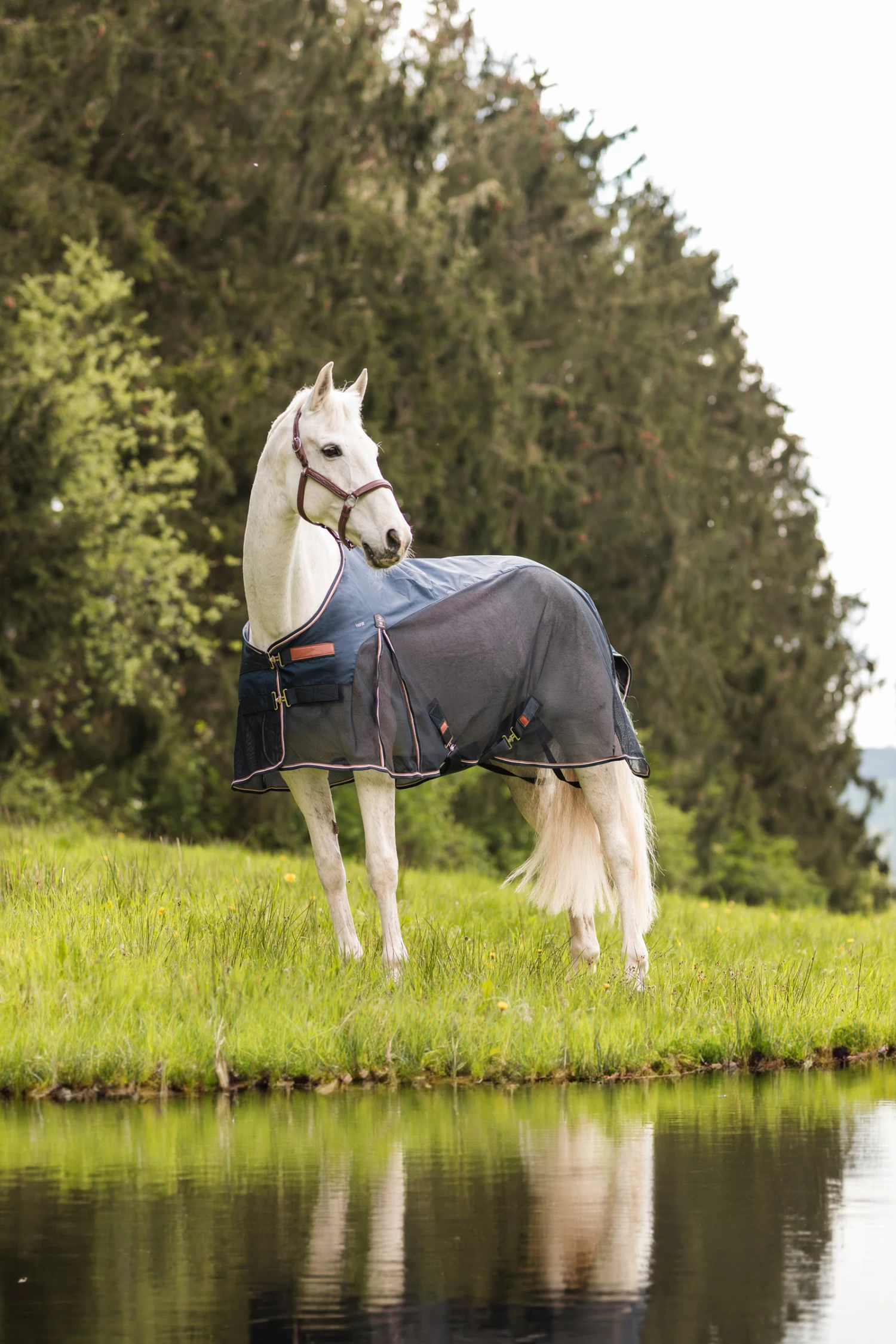 Horze Nevada Lightweight Wool & Mesh Rug 9 Horze Nevada Lightweight Wool & Mesh Rug - Image 7