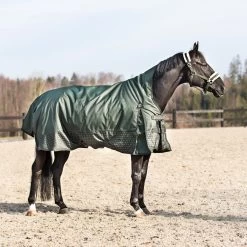 Horze Avalanche Mid Season Rug 150g -Sports - Horse Equipment Shop 24047 FNGR DGG 2