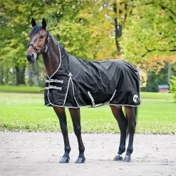 Finntack Pro Alaska Turnout Rug With High Neck -Sports - Horse Equipment Shop 24052 BL 1