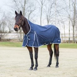 Finntack Pro Alaska Turnout Rug With High Neck -Sports - Horse Equipment Shop 24052 DB DB WH 1