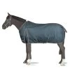 Horze Leighton Teens Collection Turnout Rug With Logo Print, 200g