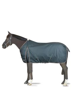 Horze Leighton Teens Collection Turnout Rug With Logo Print, 200g