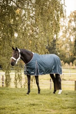 Horze Leighton Teens Collection Turnout Rug With Logo Print, 200g -Sports - Horse Equipment Shop 24092 udgr 04