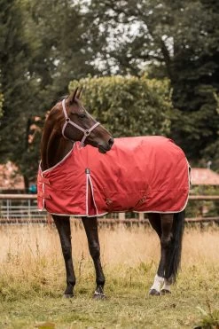 Horze Sudbury 2-in-1 Turnout Rug, 50g, 100g -Sports - Horse Equipment Shop 24093 msre 06