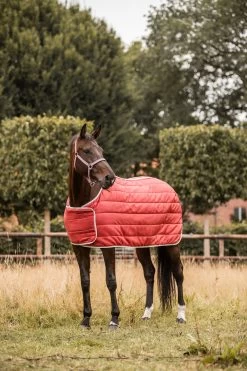 Horze Sudbury 2-in-1 Turnout Rug, 50g, 100g -Sports - Horse Equipment Shop 24093 msre 07