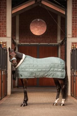 Horze Geneva Stable Rug, 200g 7 Horze Geneva Stable Rug, 200g -Sports - Horse Equipment Shop 24096 SIB 3