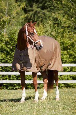 Horze Glasgow Turnout Rug, 350g -Sports - Horse Equipment Shop 24107 CMBR 4