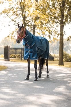 Horze Glasgow Full Neck Turnout Rug, 150g -Sports - Horse Equipment Shop 24109 559 06