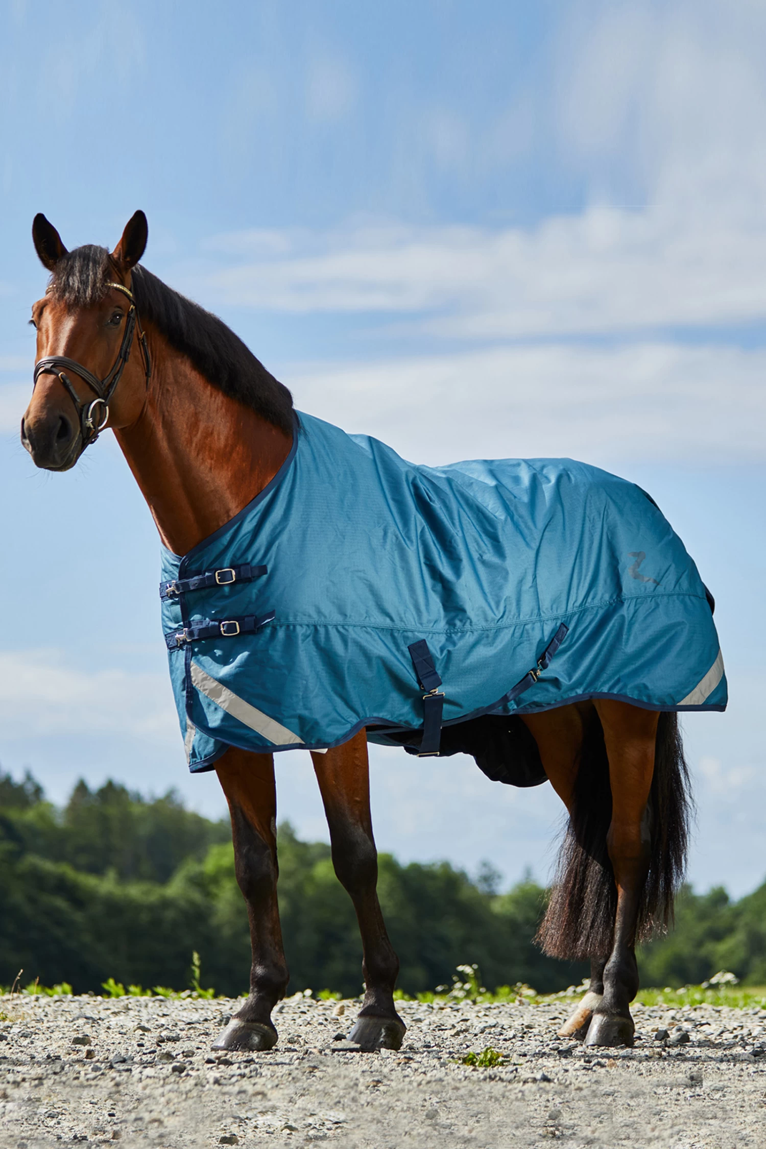 Horze Turin Lightweight Turnout Rug, 50g 3 Horze Turin Lightweight Turnout Rug, 50g