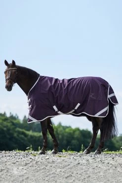 Horze Turin Lightweight Turnout Rug, 50g 7 Horze Turin Lightweight Turnout Rug, 50g -Sports - Horse Equipment Shop 24124 pu 02