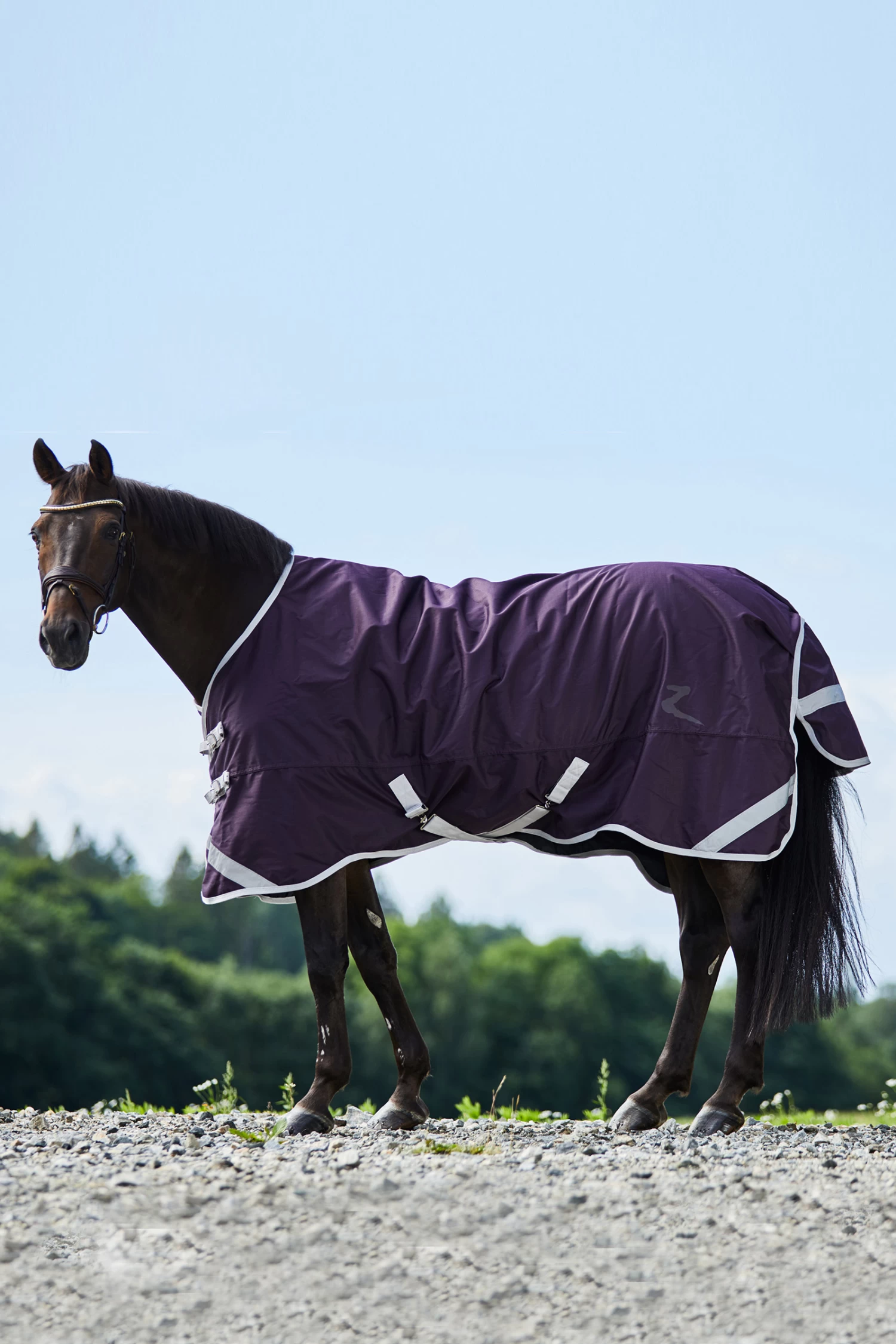 Horze Turin Lightweight Turnout Rug, 50g 5 Horze Turin Lightweight Turnout Rug, 50g - Image 3