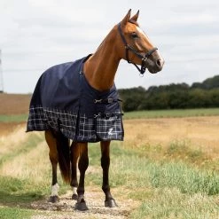 Horze Nevada 1200D Turnout Sheet, 100G -Sports - Horse Equipment Shop 24128 PDB LDGR 1