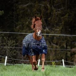 Horze Nevada 1200D Turnout Sheet, 100G -Sports - Horse Equipment Shop 24128 VDB MBZ 3