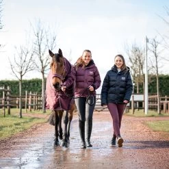 B Vertigo Georgina Lightweight Turnout, 150g -Sports - Horse Equipment Shop 24129 WDRE 5