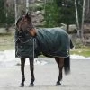B Vertigo Georgina Turnout Rug With Detachable Neck, 250g -Sports - Horse Equipment Shop 24133 FNGR 2