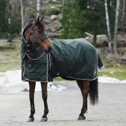 B Vertigo Georgina Turnout Rug With Detachable Neck, 250g