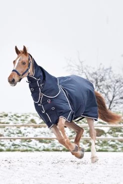 B Vertigo Georgina Turnout Rug With Detachable Neck, 250g -Sports - Horse Equipment Shop 24133 VDB 01