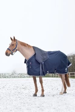 B Vertigo Georgina Turnout Rug With Detachable Neck, 250g -Sports - Horse Equipment Shop 24133 VDB 02