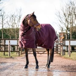 B Vertigo Georgina Turnout Rug With Detachable Neck, 250g -Sports - Horse Equipment Shop 24133 WDRE 3