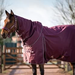 B Vertigo Georgina Turnout Rug With Detachable Neck, 250g -Sports - Horse Equipment Shop 24133 WDRE 4