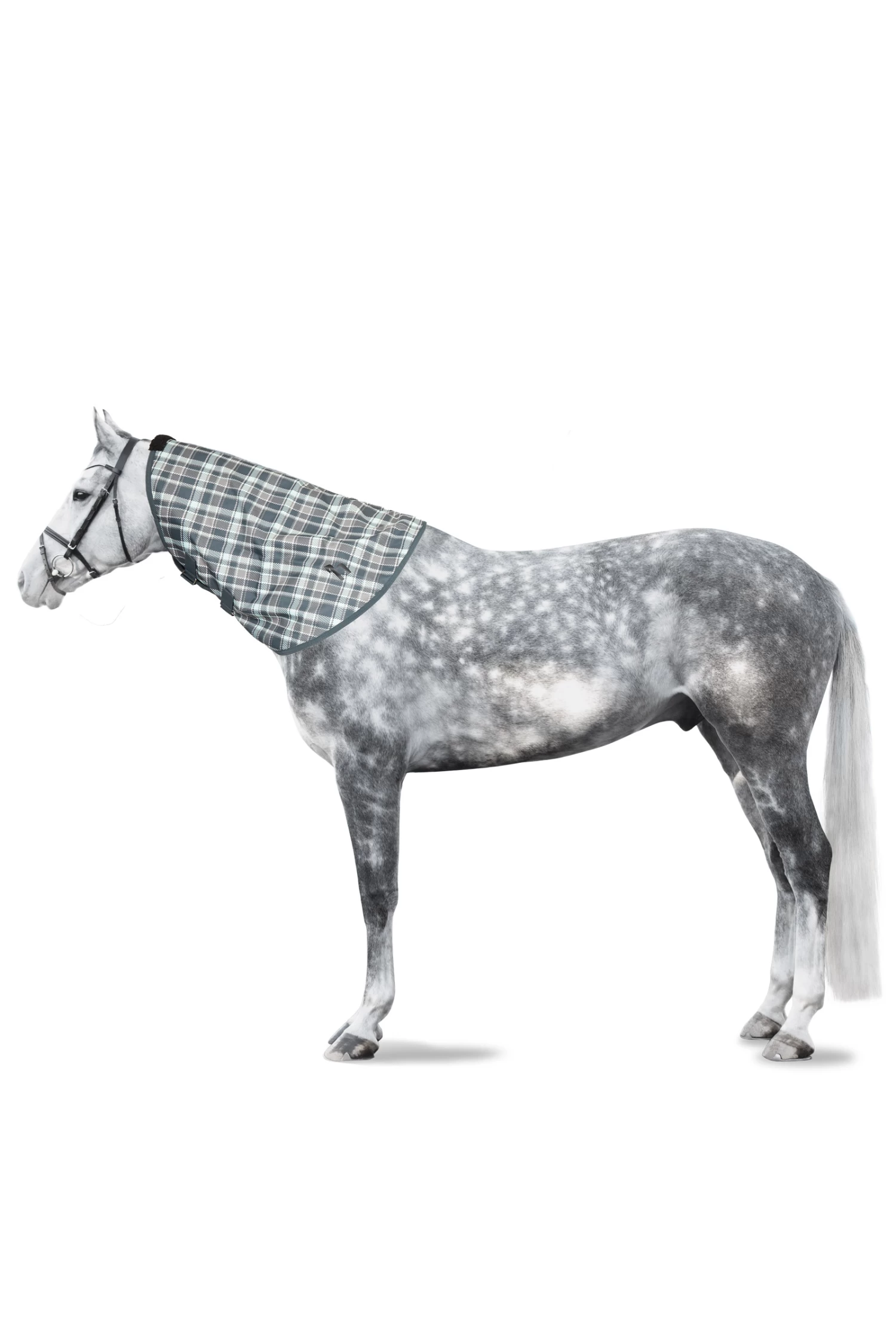 Horze Nevada Neckpiece 10 Horze Nevada Neckpiece - Image 8