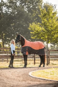 Horze Lucerne Turnout Rug With High Neck, 50g -Sports - Horse Equipment Shop 24191 237 03