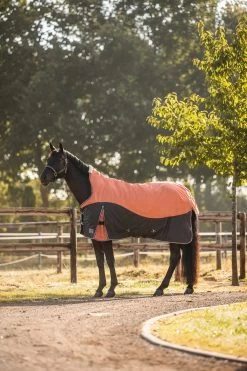 Horze Lucerne Turnout Rug With High Neck, 250g 7 Horze Lucerne Turnout Rug With High Neck, 250g -Sports - Horse Equipment Shop 24192 237 03