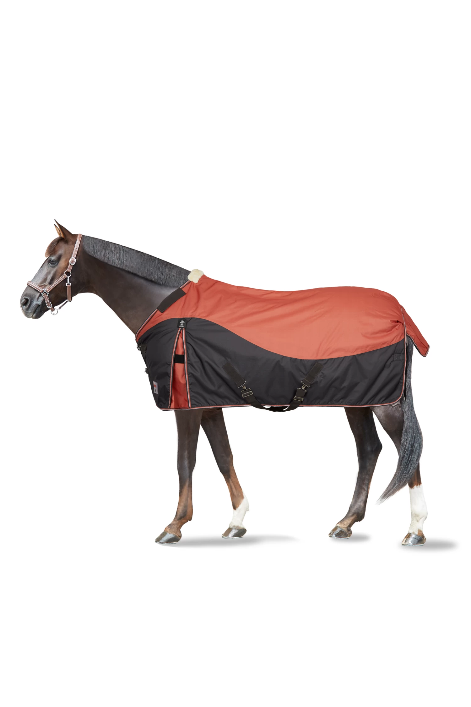 Horze Lucerne Turnout Rug, 150g 3 Horze Lucerne Turnout Rug, 150g