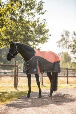 Horze Lucerne Turnout Rug, 150g 9 Horze Lucerne Turnout Rug, 150g -Sports - Horse Equipment Shop 24196 237 04