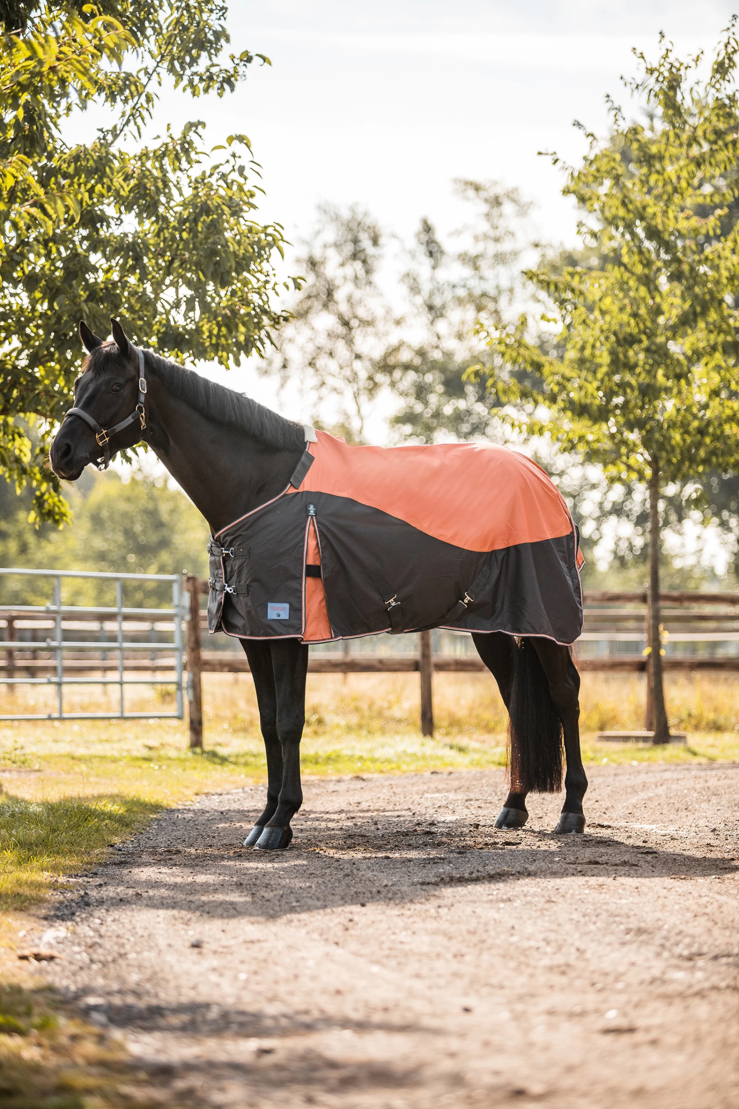 Horze Lucerne Turnout Rug, 250g 6 Horze Lucerne Turnout Rug, 250g - Image 4
