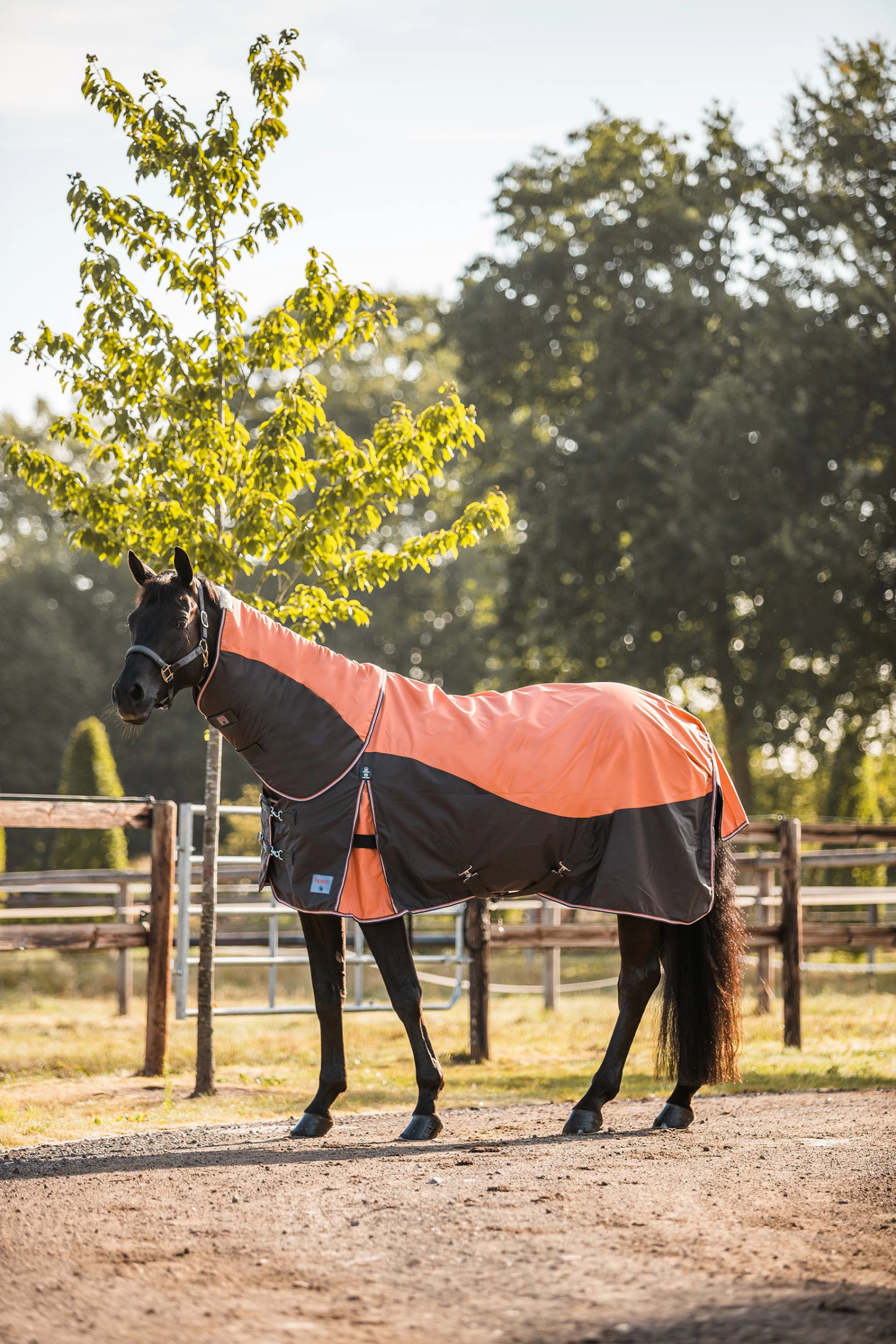 Horze Lucerne Neck Piece, 250g 5 Horze Lucerne Neck Piece, 250g - Image 3