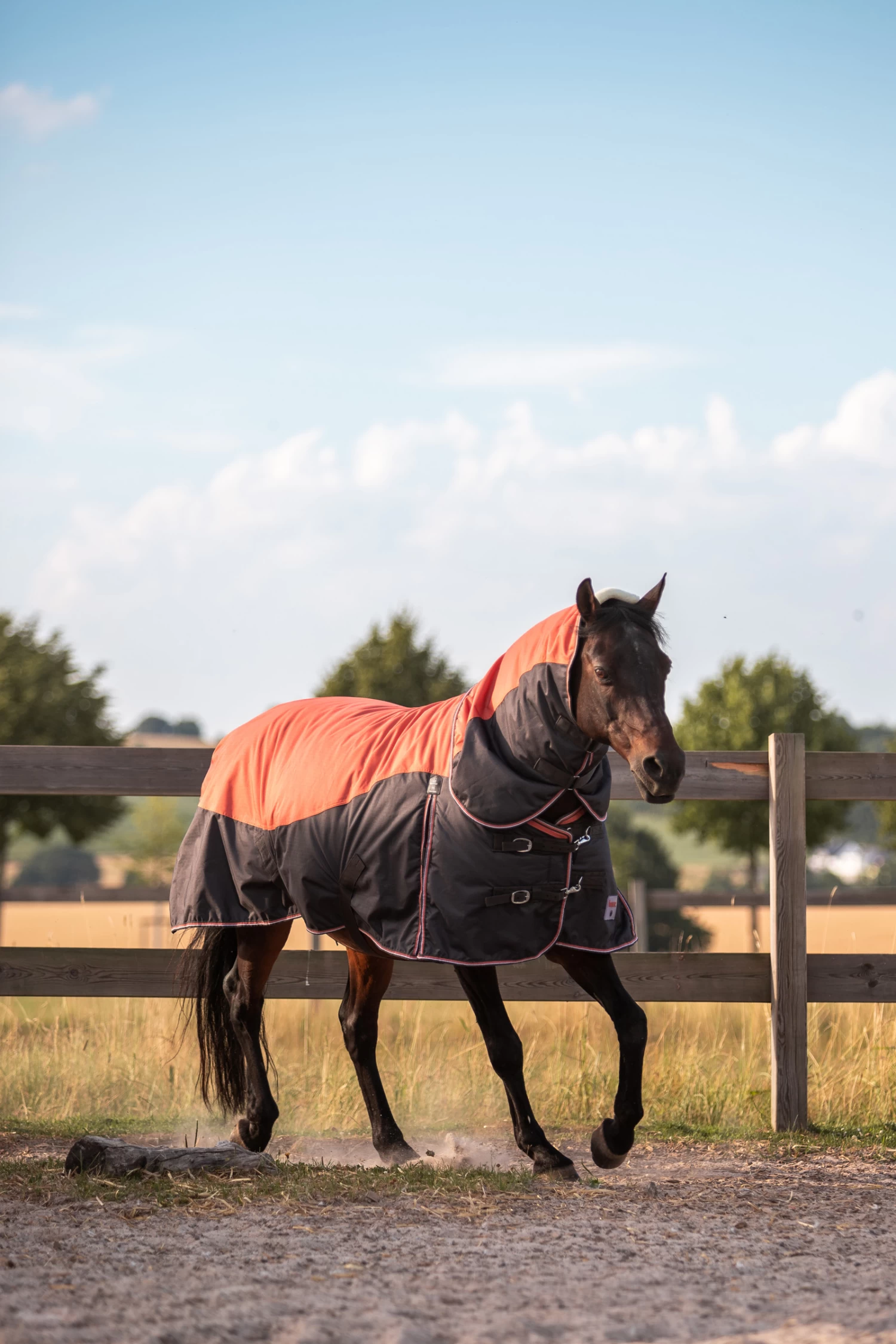 Horze Lucerne Neck Piece, 250g 6 Horze Lucerne Neck Piece, 250g - Image 4