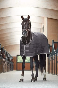 Horze Glasgow Stable Rug / Under Rug, 200g -Sports - Horse Equipment Shop 24307 BPG 5