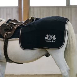 B Vertigo Concord Exercise Rug -Sports - Horse Equipment Shop 24328 VDB 5