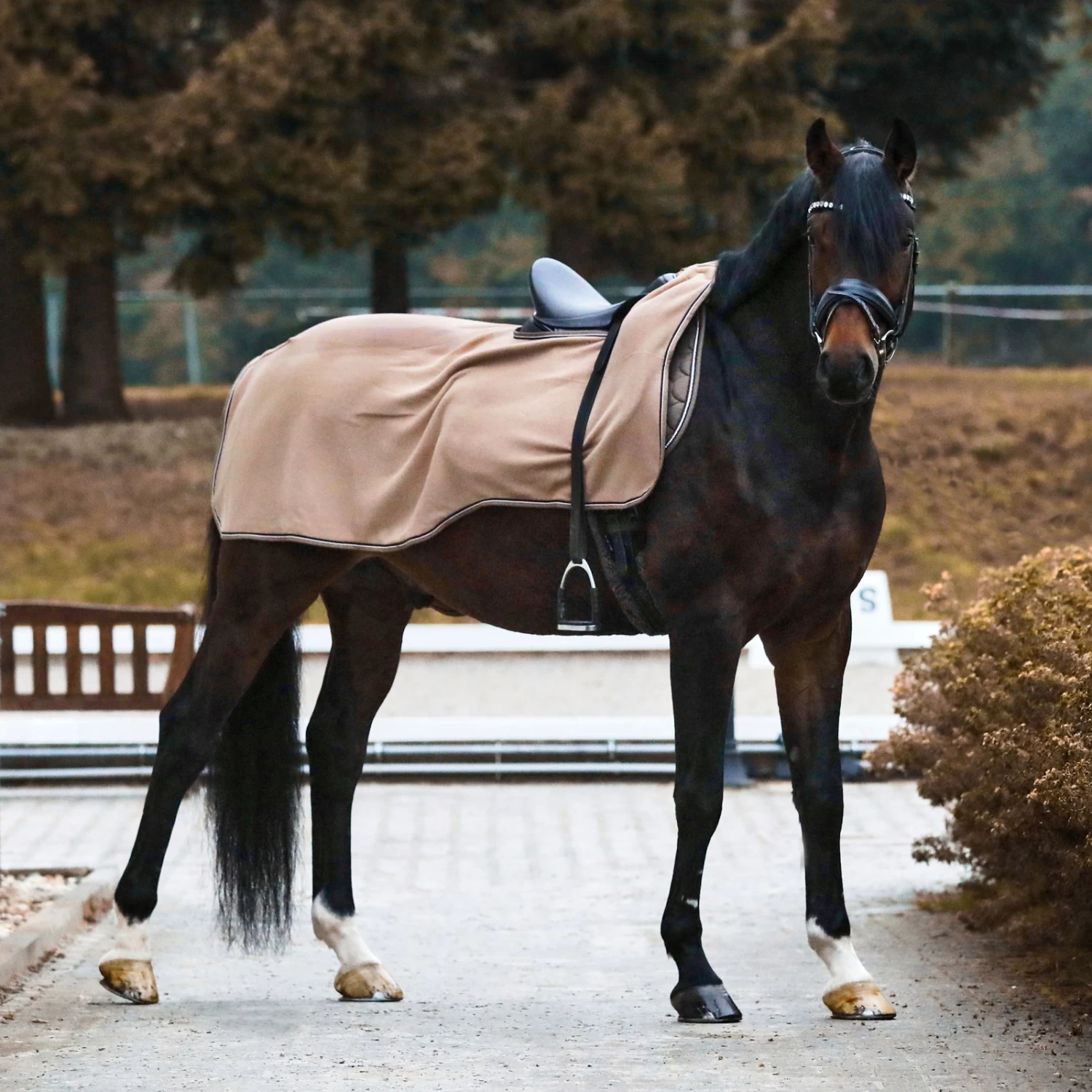 Horze Kiel Fleece Riding Rug 20 Horze Kiel Fleece Riding Rug - Image 18