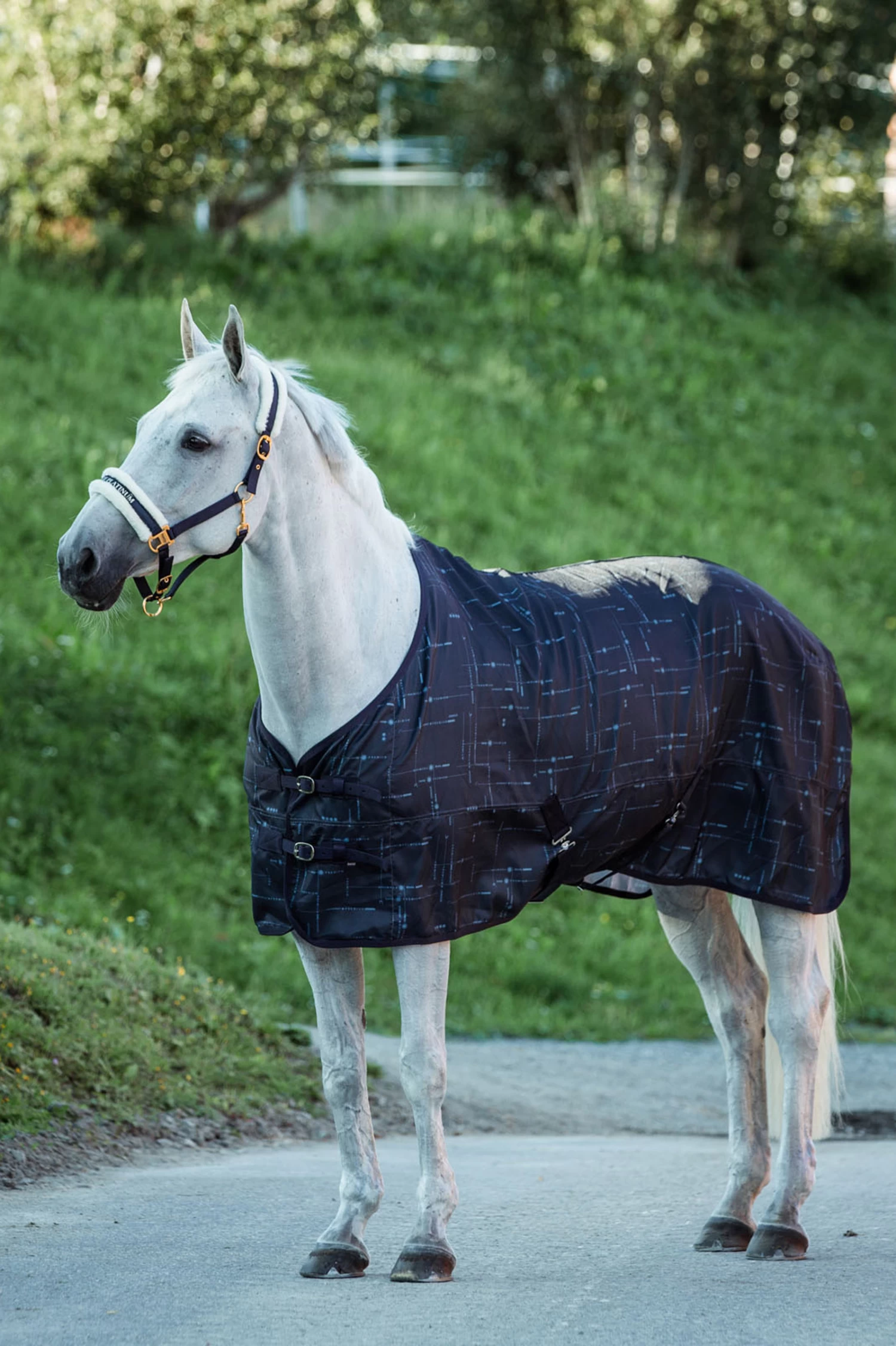 Horze Fairfax UV Sheet 4 Horze Fairfax UV Sheet - Image 2