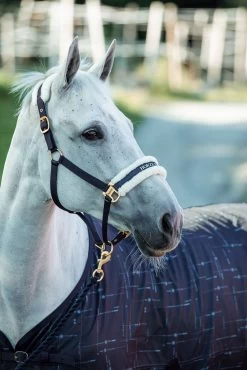 Horze Fairfax UV Sheet 8 Horze Fairfax UV Sheet -Sports - Horse Equipment Shop 24377 vdb 03