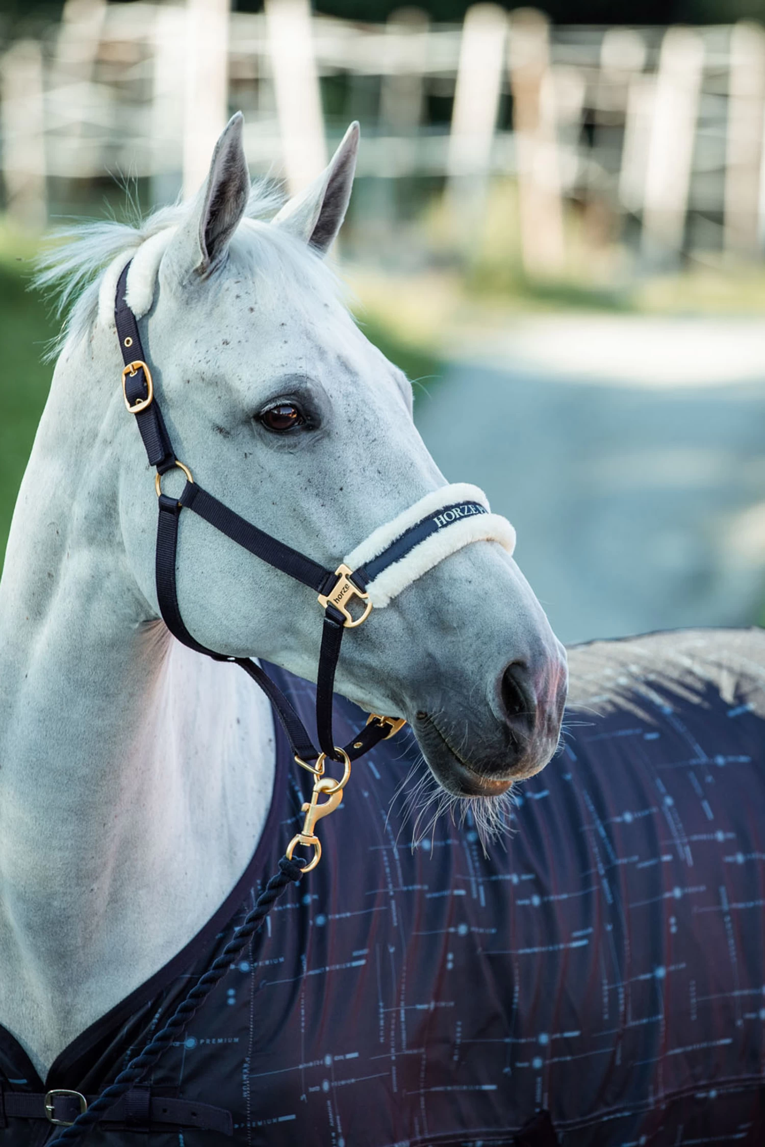 Horze Fairfax UV Sheet 5 Horze Fairfax UV Sheet - Image 3