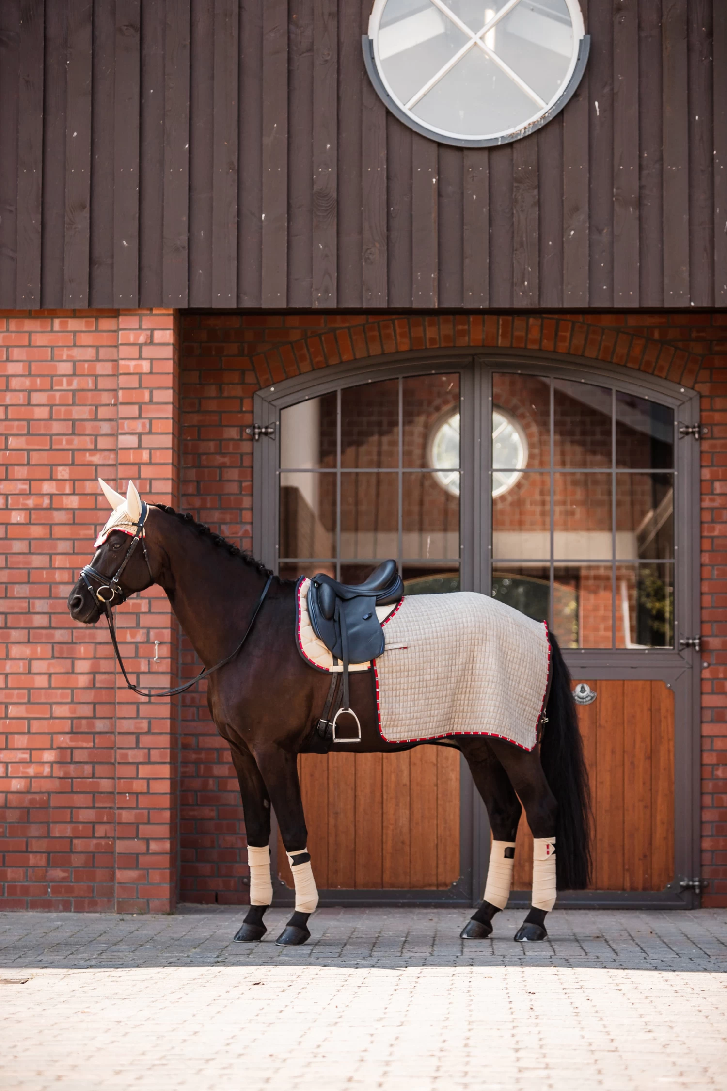 B Vertigo Amory Exercise Rug 5 B Vertigo Amory Exercise Rug - Image 3