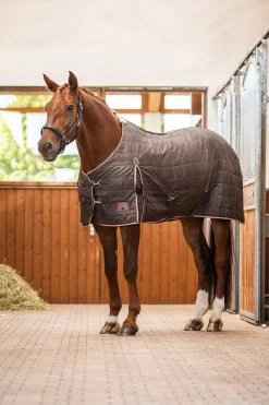 Horze Lucerne Stable Rug, 50g -Sports - Horse Equipment Shop 24391 080 05