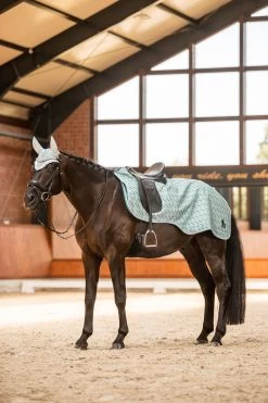 Horze Avalanche Riding Rug, 150g -Sports - Horse Equipment Shop 24395 sib 03