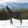 Horze Nevada Mid-season Stable 100g -Sports - Horse Equipment Shop 24405 BL 1