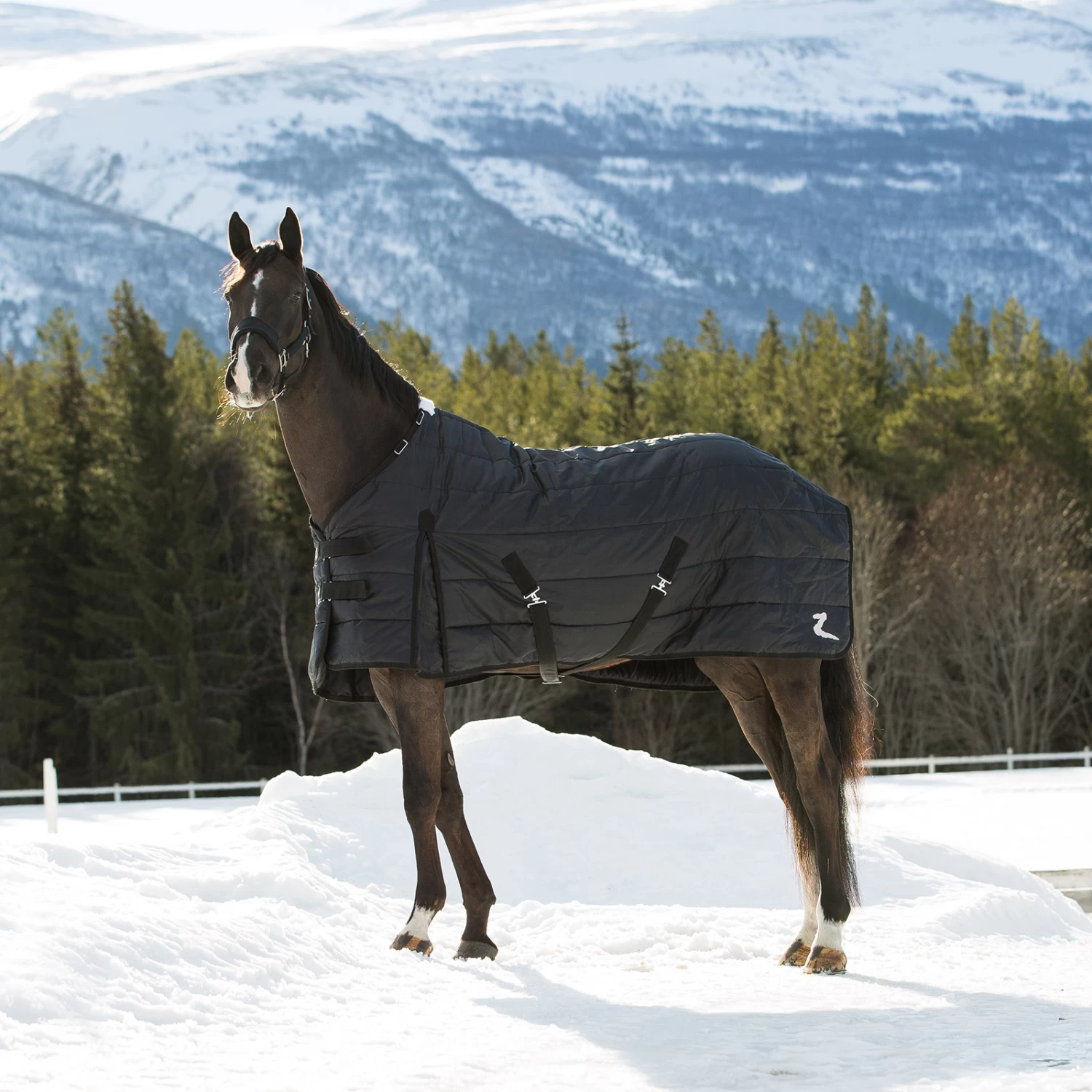 Horze Nevada Mid-season Stable 100g 3 Horze Nevada Mid-season Stable 100g