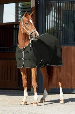 Horze Bari Combi Mesh Cooler Rug -Sports - Horse Equipment Shop 24406 IDGR 5