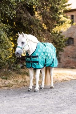 Horze Magic Carousel Pony Turnout Rug, 0g 16 Horze Magic Carousel Pony Turnout Rug, 0g -Sports - Horse Equipment Shop 24423 556 07