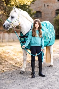 Horze Magic Carousel Pony Turnout Rug, 0g 17 Horze Magic Carousel Pony Turnout Rug, 0g -Sports - Horse Equipment Shop 24423 556 08