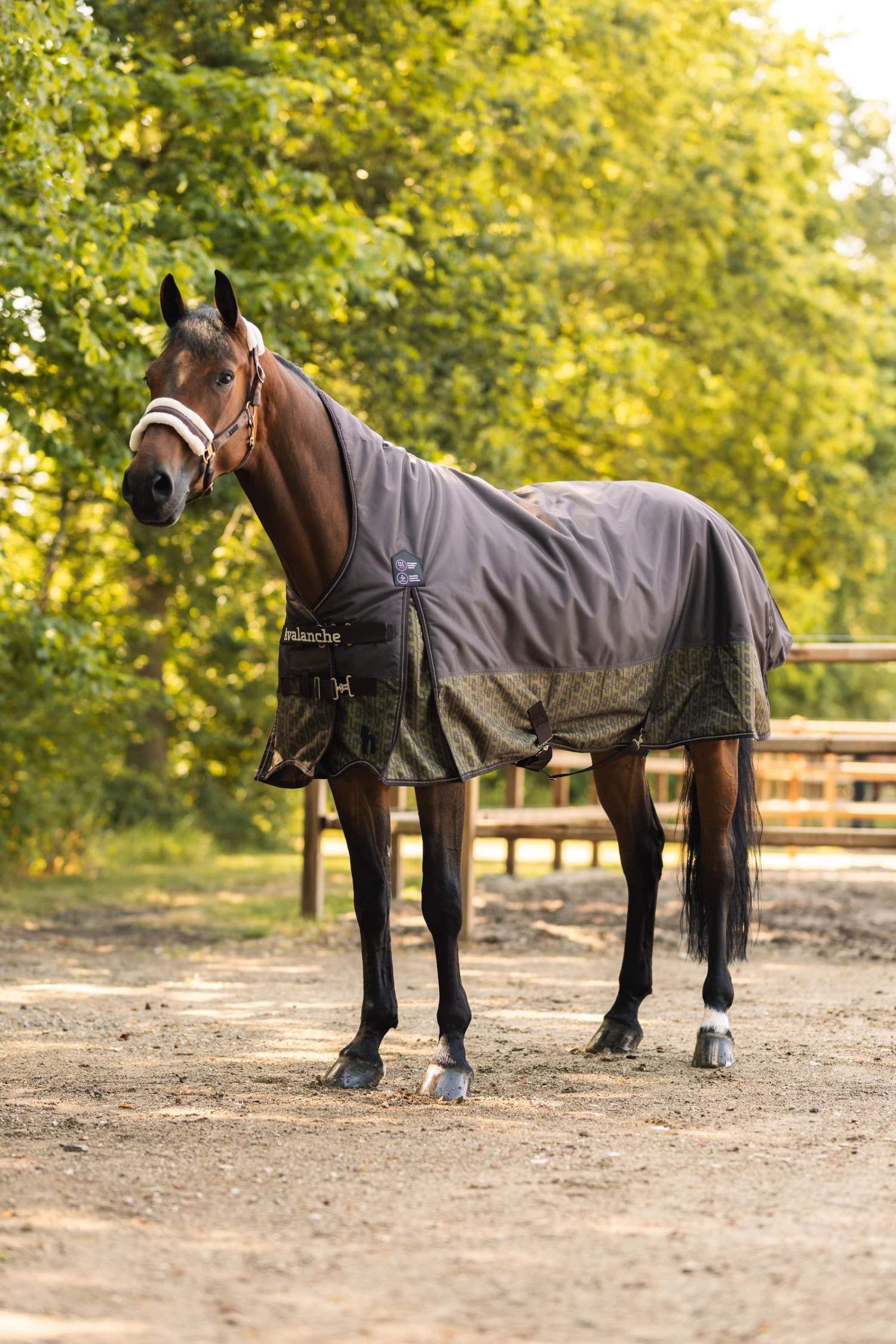 Horze Avalanche Winter Rug 300g 10 Horze Avalanche Winter Rug 300g - Image 8