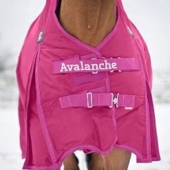 Horze Avalanche Winter Rug 300g 31 Horze Avalanche Winter Rug 300g -Sports - Horse Equipment Shop 24565 BDPU 2
